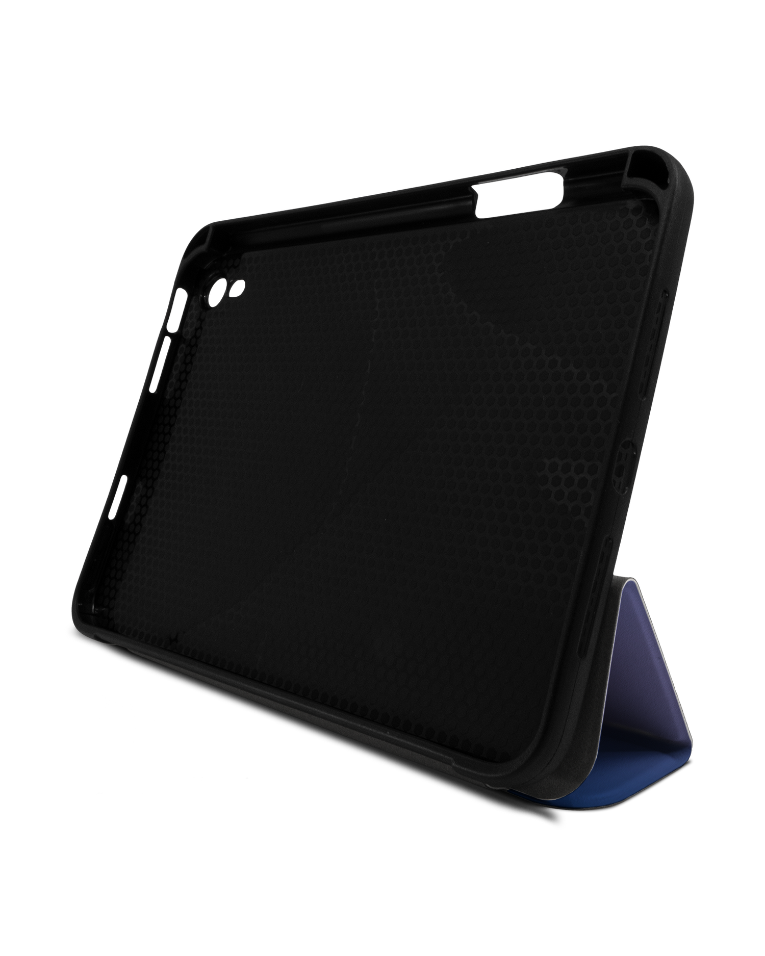 Blueberry iPad Case with Pencil Holder Apple iPad mini 6 (2021): Set up in landscape format (front view)
