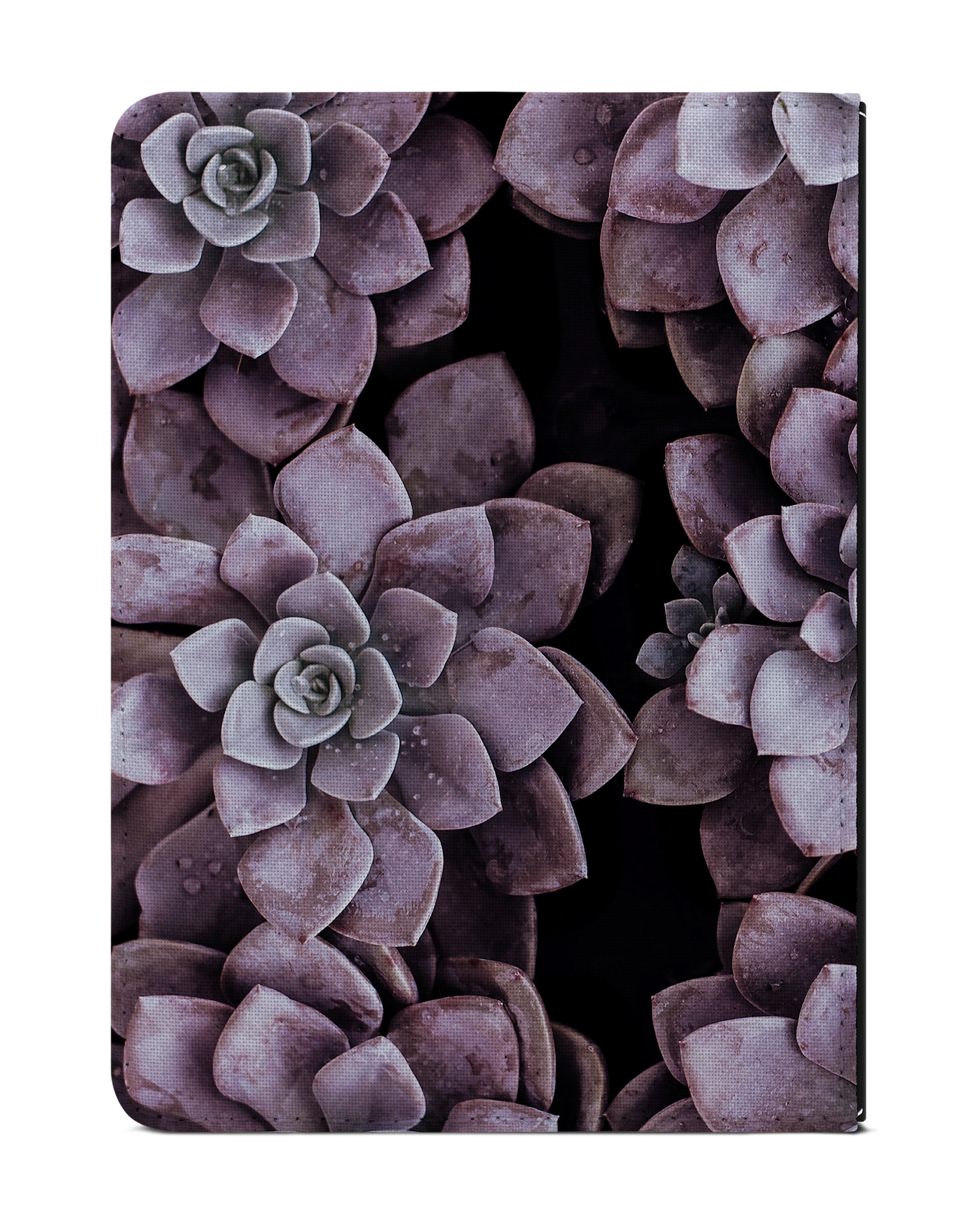 Purple Succulents eReader Case for tolino vision 1 to 4 HD: Back View
