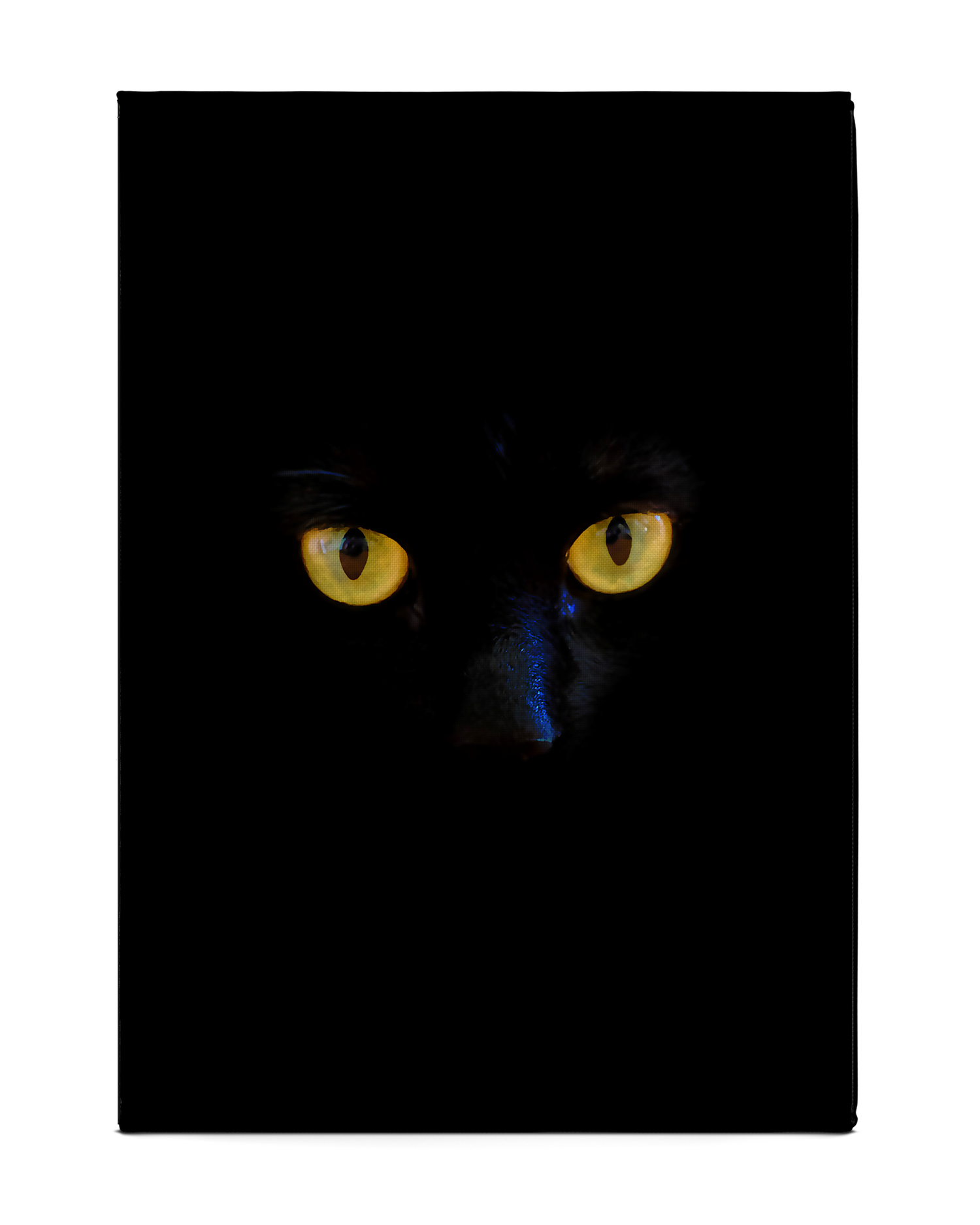 Black Cat Tablet Case M: Back View