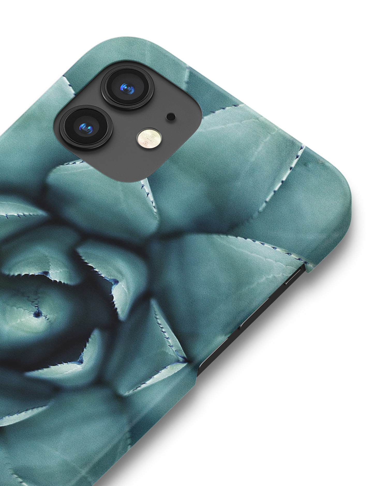 Beautiful Succulent Hard Shell Phone Case Apple iPhone 12 mini: Detail Shot